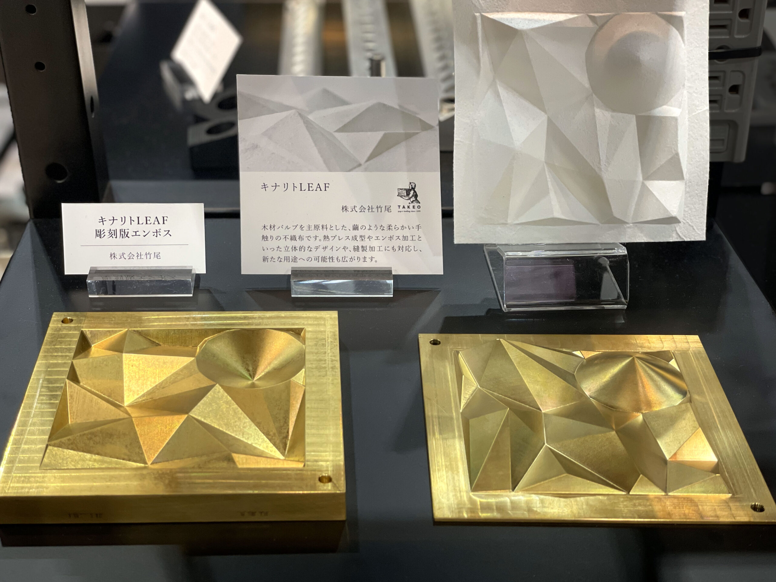 エンボスされたキナリトleafと真鍮のエンボス版