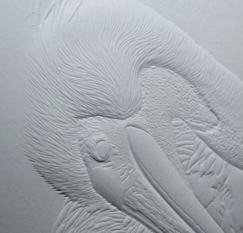 彫刻版で立体加飾した写真集『神創美鳥』の表紙